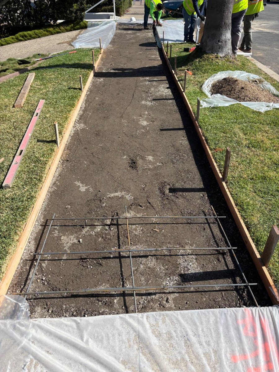 Forms set and rebar reinforcement placed on graded base, lawn protected — mid-job